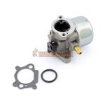 Karburator Briggs & Stratton 498170; - Slika 2