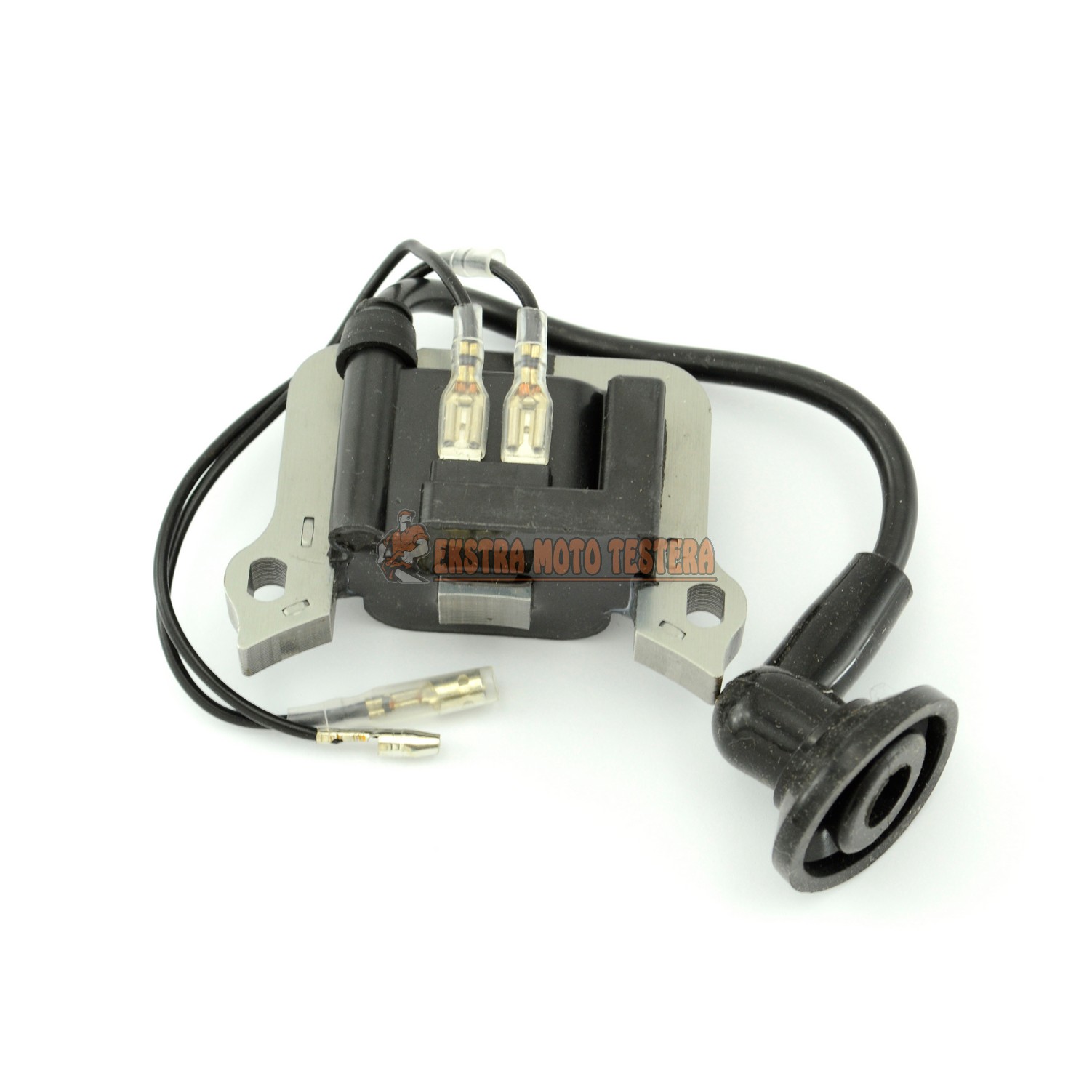 W34-307 Elektronik MTD, THORX; OHV - Slika 1
