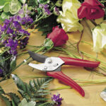 Makaze vinogradarske WOLF Garten RR-EN - Slika 2