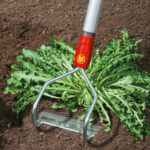 Motika za korov WOLF Garten Multi-star HO-M 15 - Slika 2