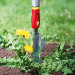 Vadilica korova WOLF Garten Multi-star IW-M - Slika 2