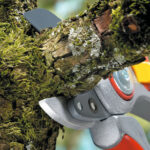 Makaze voćarske WOLF Garten Profesional RS 5000 - Slika 2