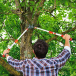 Makaze za grane teleskopske WOLF Garten Power Cut RS 900 - Slika 3