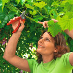 Makaze voćarske WOLF Garten Comfort Plus RS 2500 - Slika 2