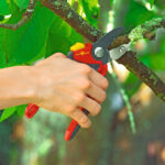 Makaze voćarske WOLF Garten Premium Plus RS 4000 - Slika 2