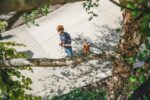 Rezac visokih grana STIHL HT 135 - Slika 3