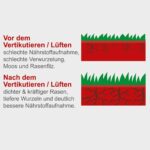 Motorni prozračivač travnjaka SC55P Scheppach - Slika 4