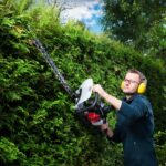 Motorni trimer za živu ogradu HTH250/240P 1KS Scheppach - Slika 6