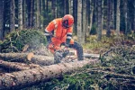 Motorna testera Husqvarna 560 XP® Mark II - Slika 6