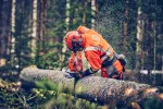 Motorna testera Husqvarna 560 XP® Mark II - Slika 5