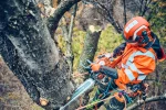 Motorna testera Husqvarna 560 XP® Mark II - Slika 3