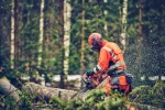 Motorna testera Husqvarna 560 XP® Mark II - Slika 2