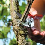 Makaze vinogradarske WOLF Garten Premium Plus RS 4000 - Slika 2